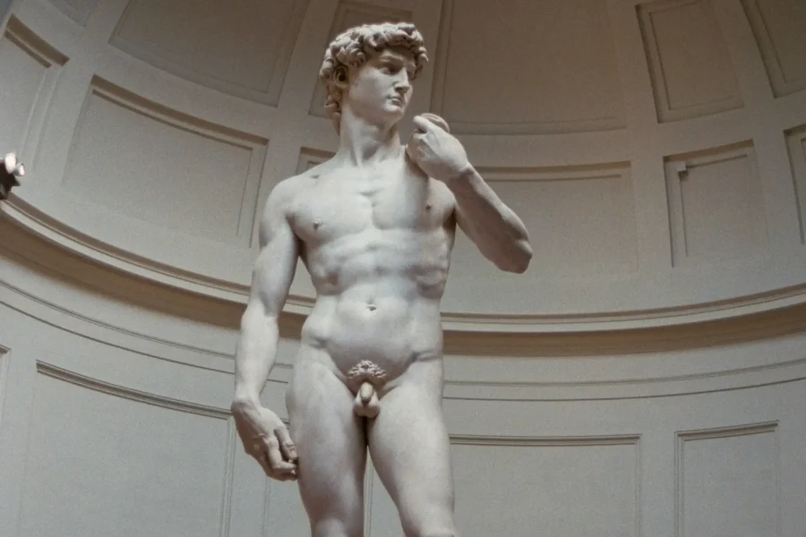 Entry Tickets for the Accademia Gallery