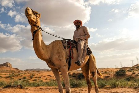 How to Choose the Best Dubai Desert Safari