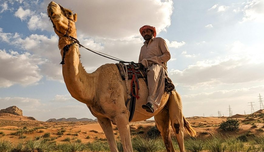 How to Choose the Best Dubai Desert Safari