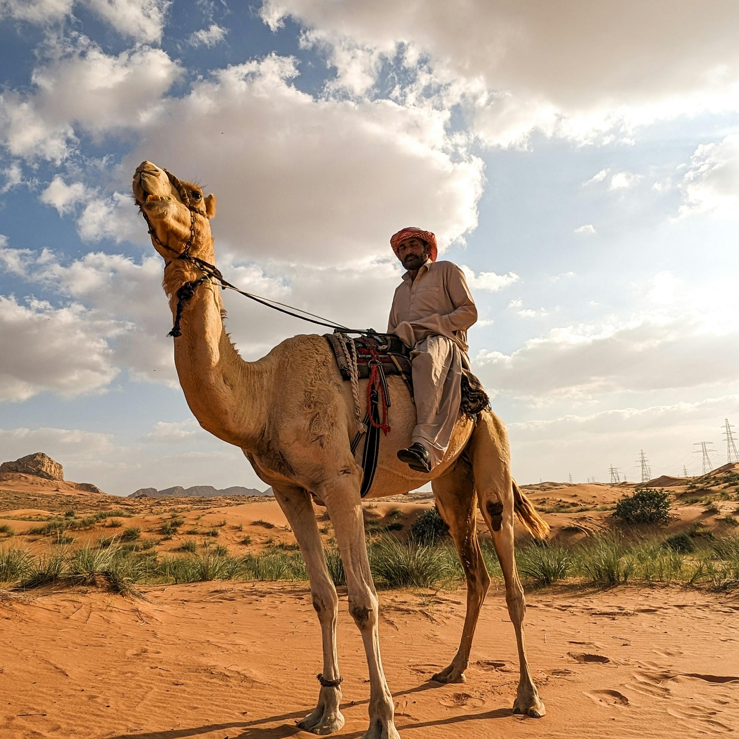 How to Choose the Best Dubai Desert Safari
